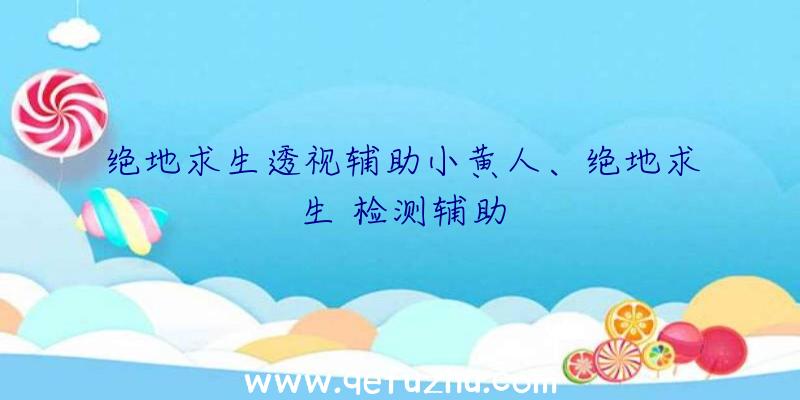 绝地求生透视辅助小黄人、绝地求生