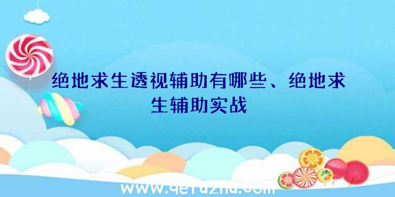 绝地求生透视辅助有哪些、绝地求生辅助实战
