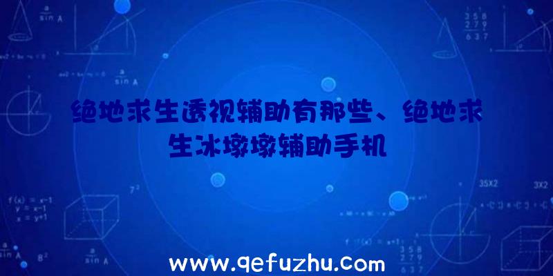 绝地求生透视辅助有那些、绝地求生冰墩墩辅助手机