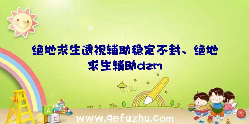 绝地求生透视辅助稳定不封、绝地求生辅助dzm