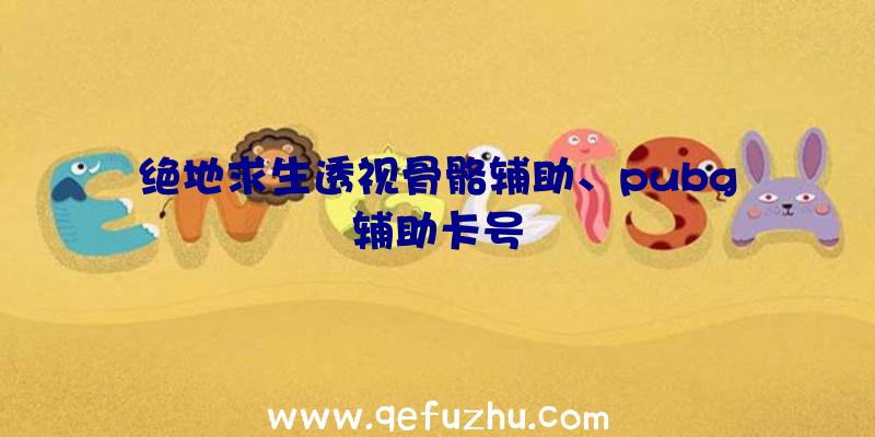 绝地求生透视骨骼辅助、pubg辅助卡号