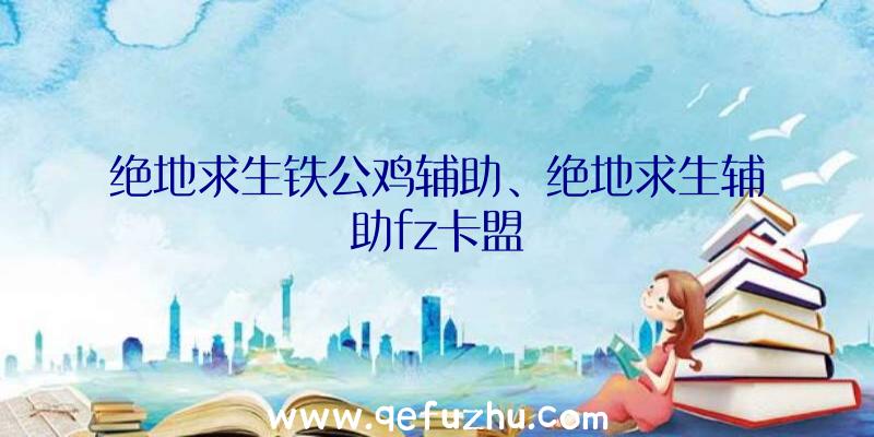 绝地求生铁公鸡辅助、绝地求生辅助fz卡盟