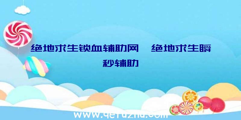 绝地求生锁血辅助网、绝地求生瞬秒辅助