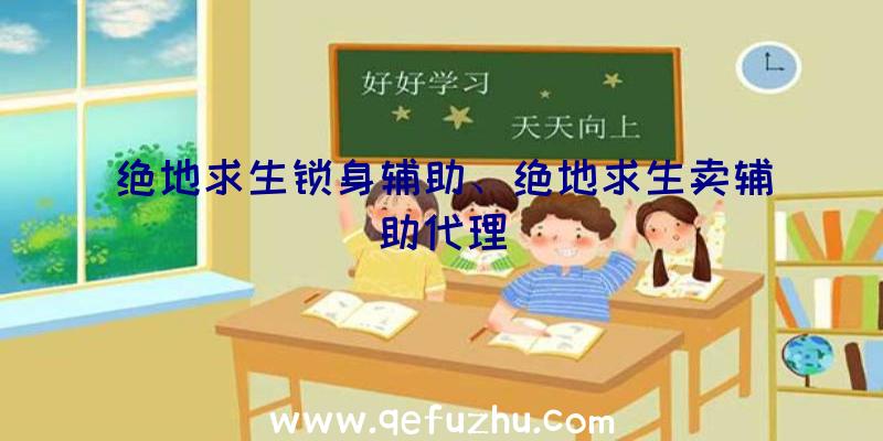 绝地求生锁身辅助、绝地求生卖辅助代理