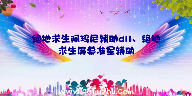 绝地求生阿玛尼辅助dll、绝地求生屏幕准星辅助