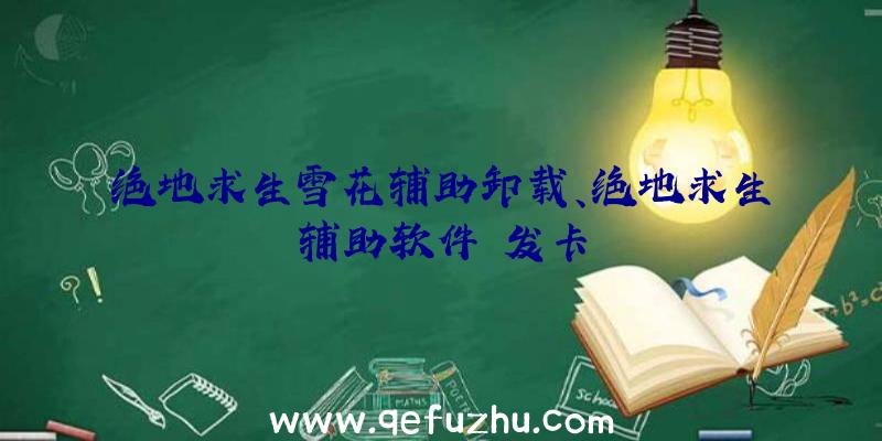 绝地求生雪花辅助卸载、绝地求生辅助软件