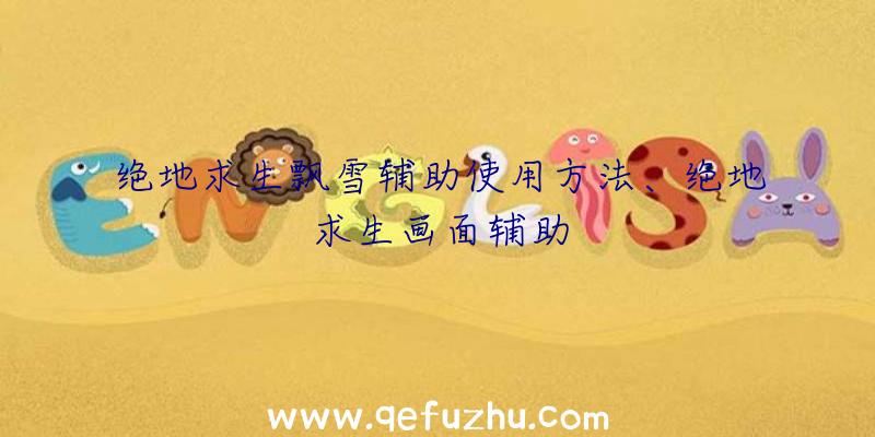 绝地求生飘雪辅助使用方法、绝地求生画面辅助