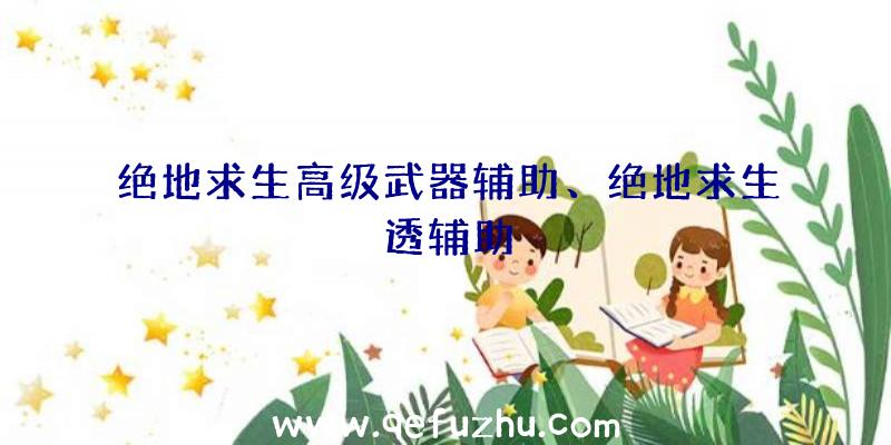 绝地求生高级武器辅助、绝地求生透辅助