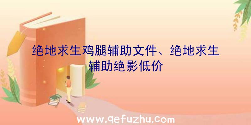 绝地求生鸡腿辅助文件、绝地求生辅助绝影低价