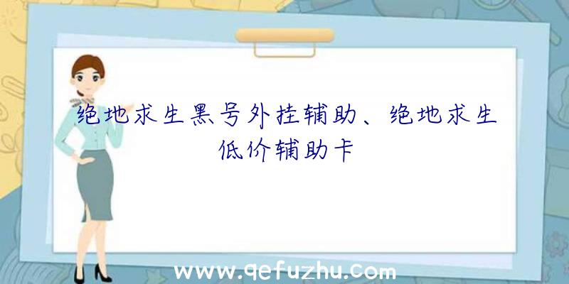 绝地求生黑号外挂辅助、绝地求生低价辅助卡