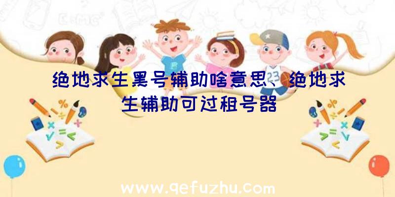 绝地求生黑号辅助啥意思、绝地求生辅助可过租号器
