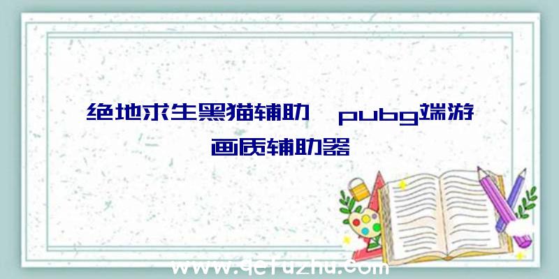 绝地求生黑猫辅助、pubg端游画质辅助器