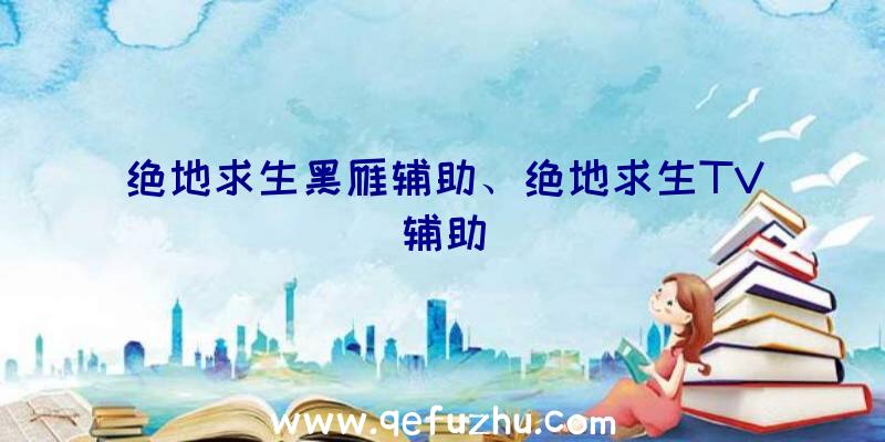 绝地求生黑雁辅助、绝地求生TV辅助