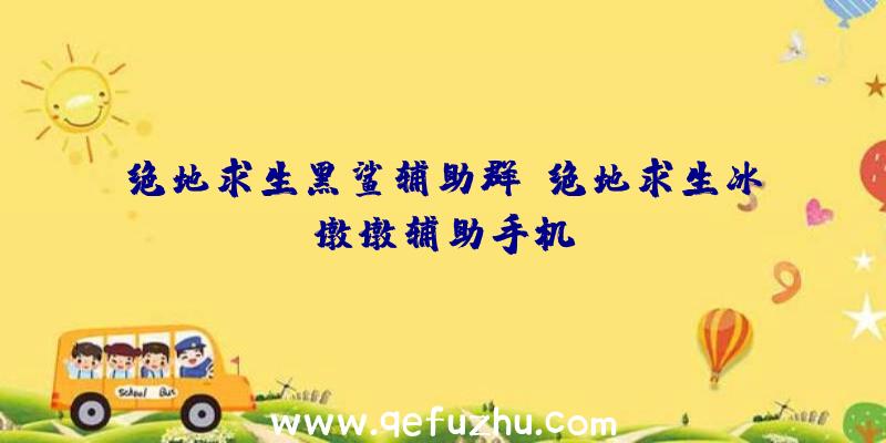 绝地求生黑鲨辅助群、绝地求生冰墩墩辅助手机