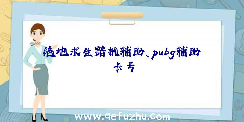 绝地求生黯枫辅助、pubg辅助卡号