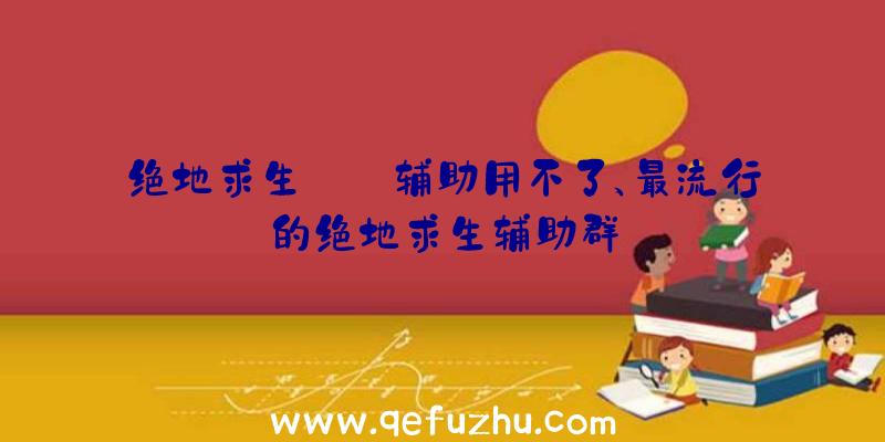绝地求生++辅助用不了、最流行的绝地求生辅助群