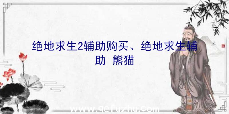 绝地求生2辅助购买、绝地求生辅助