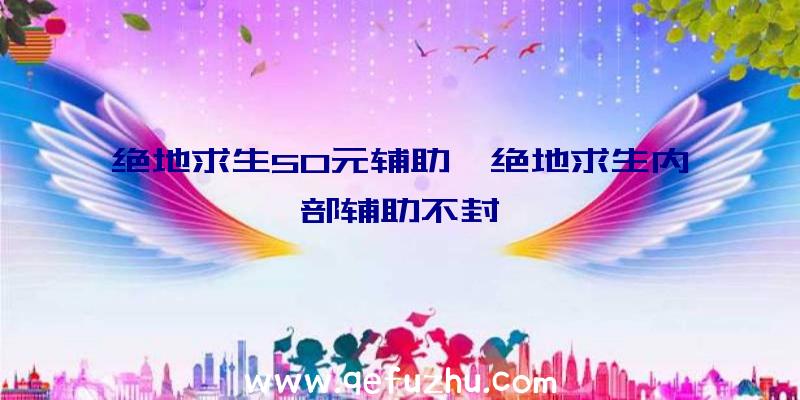 绝地求生50元辅助、绝地求生内部辅助不封