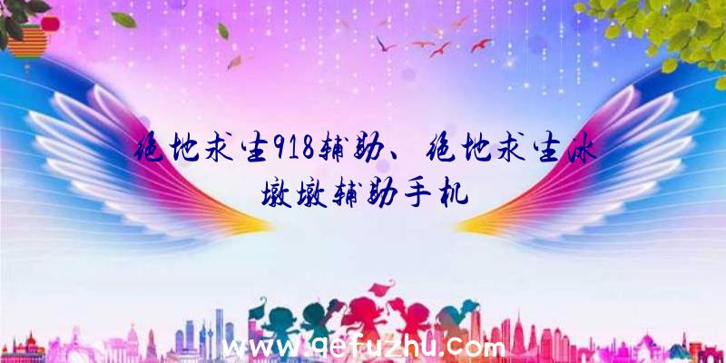 绝地求生918辅助、绝地求生冰墩墩辅助手机