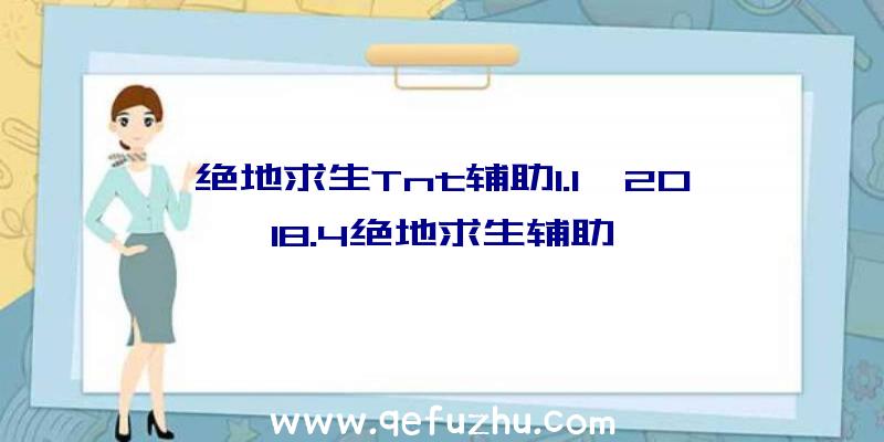 绝地求生Tnt辅助1.1、2018.4绝地求生辅助