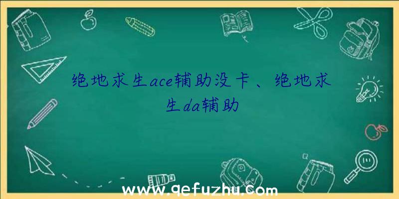 绝地求生ace辅助没卡、绝地求生da辅助
