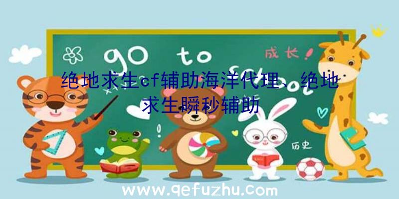 绝地求生cf辅助海洋代理、绝地求生瞬秒辅助