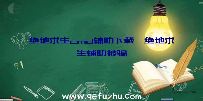 绝地求生cmd辅助下载、绝地求生辅助被骗