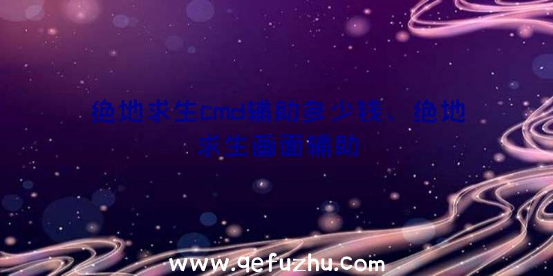 绝地求生cmd辅助多少钱、绝地求生画面辅助
