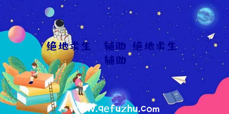 绝地求生dk辅助、绝地求生wk辅助