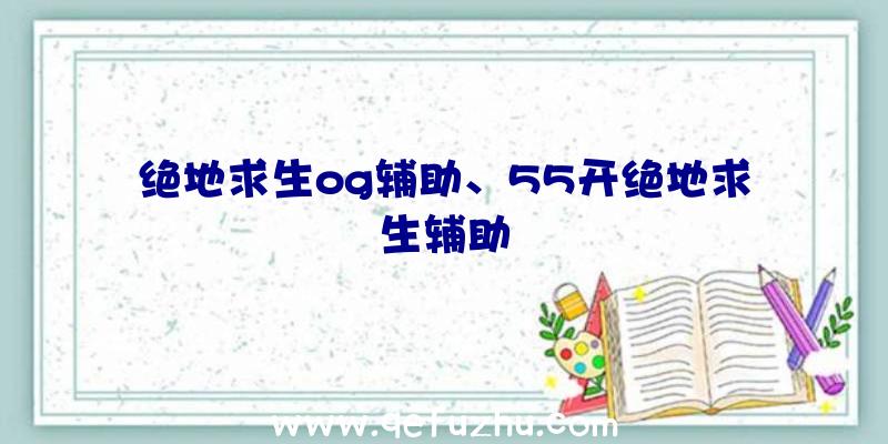 绝地求生og辅助、55开绝地求生辅助