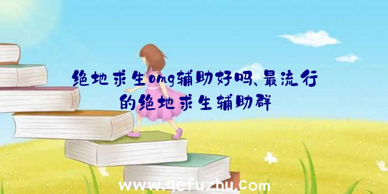 绝地求生omg辅助好吗、最流行的绝地求生辅助群