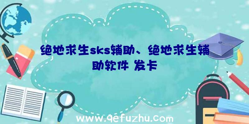 绝地求生sks辅助、绝地求生辅助软件