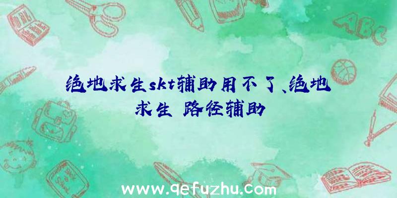 绝地求生skt辅助用不了、绝地求生
