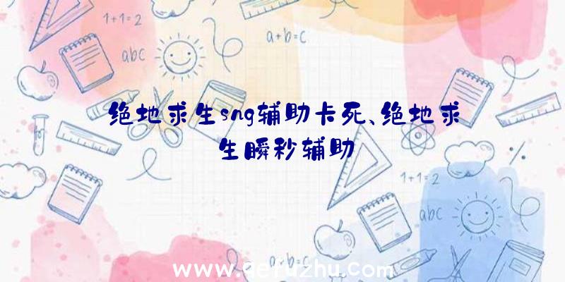 绝地求生sng辅助卡死、绝地求生瞬秒辅助