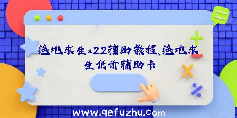 绝地求生x22辅助教程、绝地求生低价辅助卡
