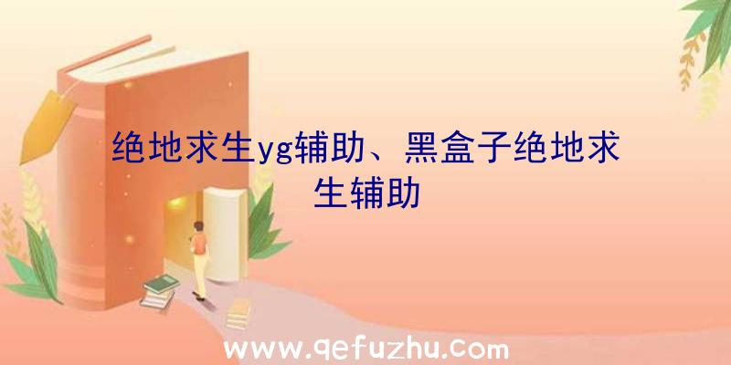 绝地求生yg辅助、黑盒子绝地求生辅助