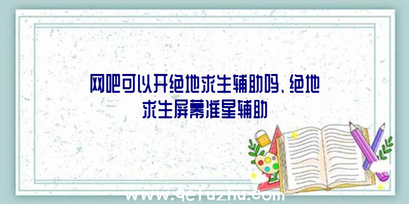 网吧可以开绝地求生辅助吗、绝地求生屏幕准星辅助