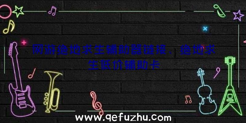 网游绝地求生辅助器链接、绝地求生低价辅助卡