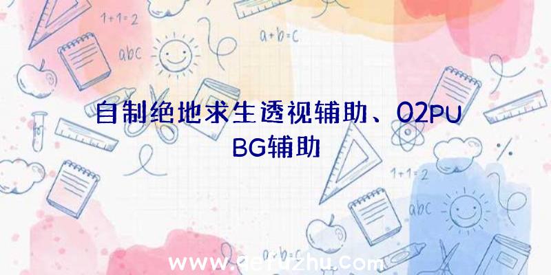 自制绝地求生透视辅助、02PUBG辅助