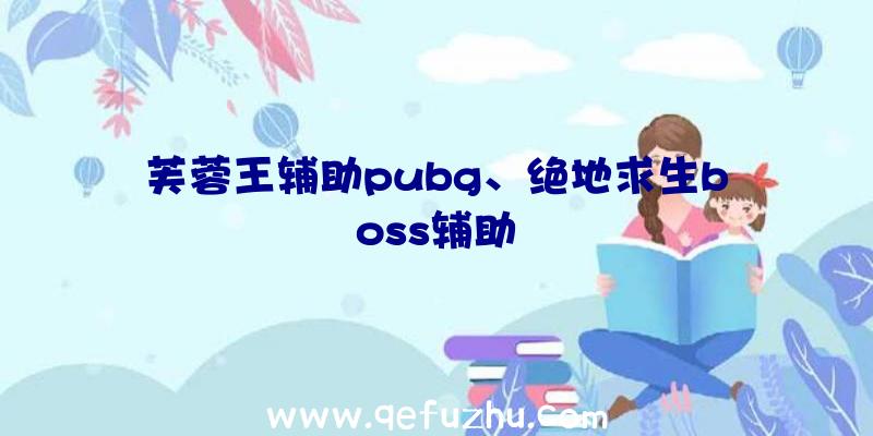 芙蓉王辅助pubg、绝地求生boss辅助