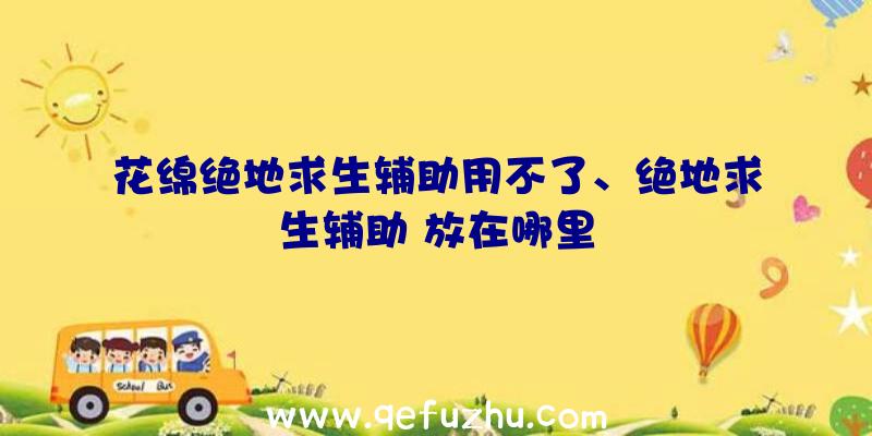 花绵绝地求生辅助用不了、绝地求生辅助