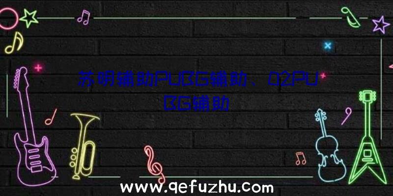 苏明辅助PUBG辅助、02PUBG辅助