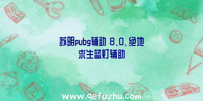 苏明pubg辅助