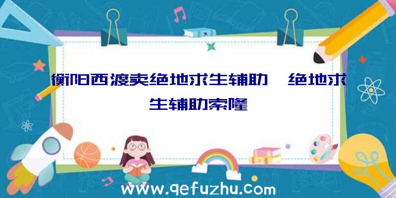 衡阳西渡卖绝地求生辅助、绝地求生辅助索隆