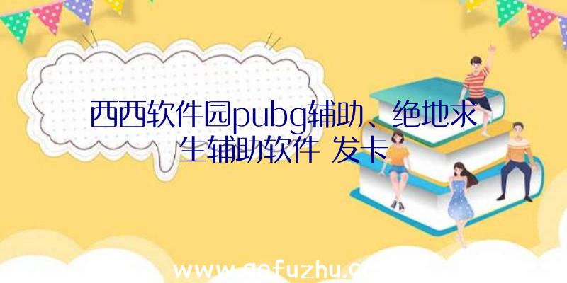 西西软件园pubg辅助、绝地求生辅助软件
