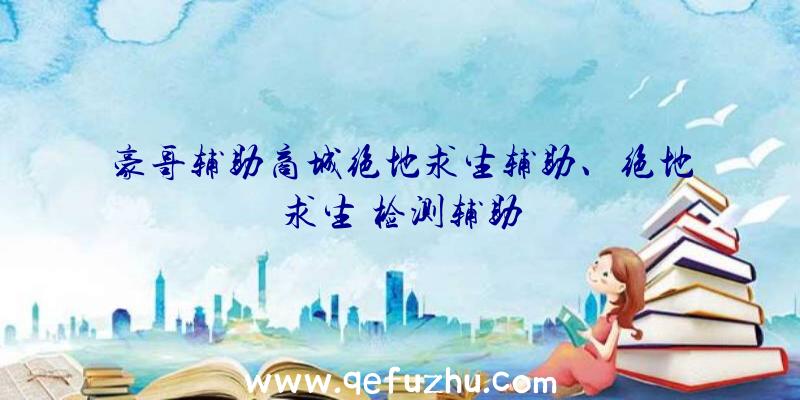 豪哥辅助商城绝地求生辅助、绝地求生