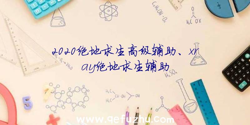 2020绝地求生高级辅助、xray绝地求生辅助