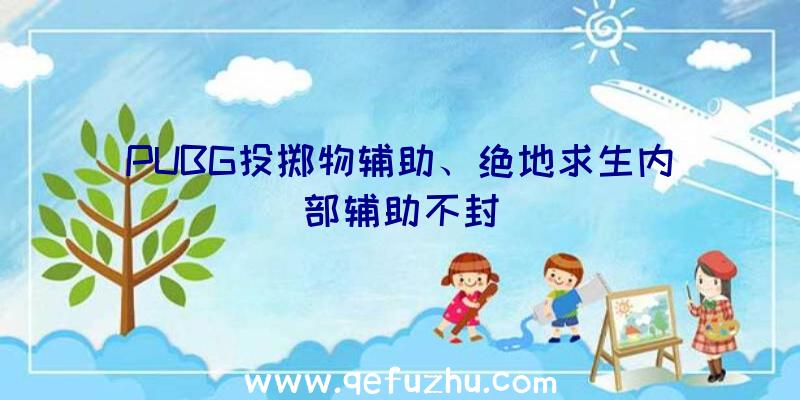 PUBG投掷物辅助、绝地求生内部辅助不封