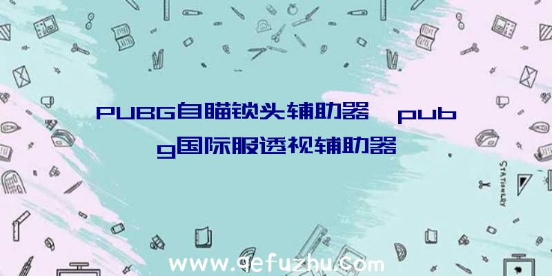 PUBG自瞄锁头辅助器、pubg国际服透视辅助器