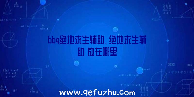 bbq绝地求生辅助、绝地求生辅助
